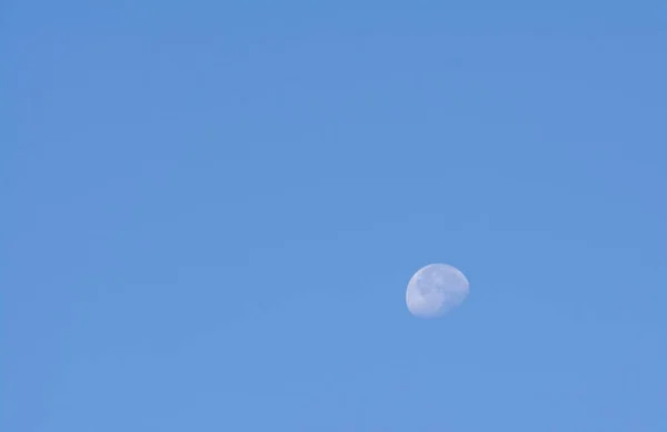Lookup Daytime Sky Full Moon — Stock Photo, Image