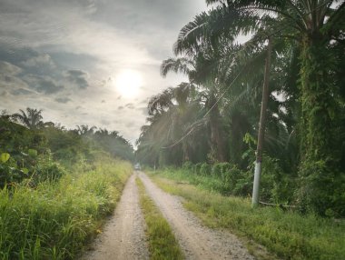 Köye giden sessiz bir patika.