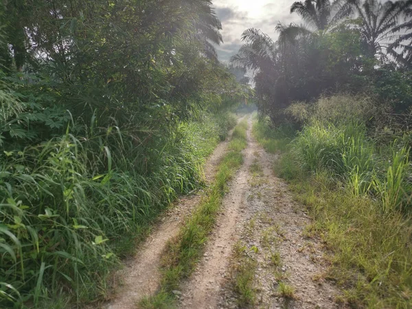 Köye Giden Vahşi Bir Yol — Stok fotoğraf
