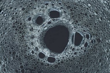 Suyun üzerinde yüzen yağ damlasının renkli sanatçısı