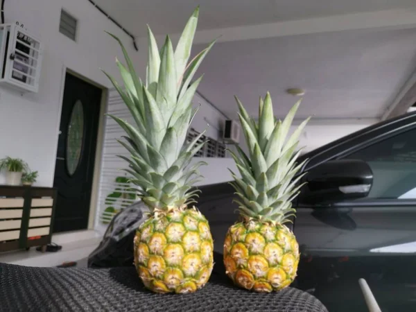 Close Shot Van Ananas Comosus — Stockfoto