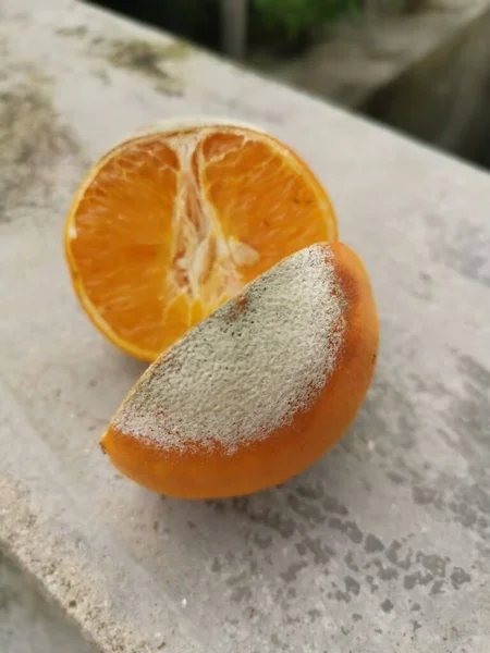 Naranja Podrida Mohosa Infestada Hormigas — Foto de Stock