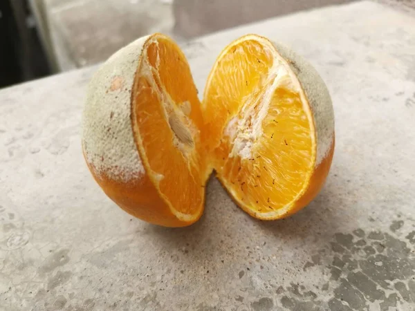 Гнилой Заплесневелый Апельсин Кишащий Муравьями — стоковое фото