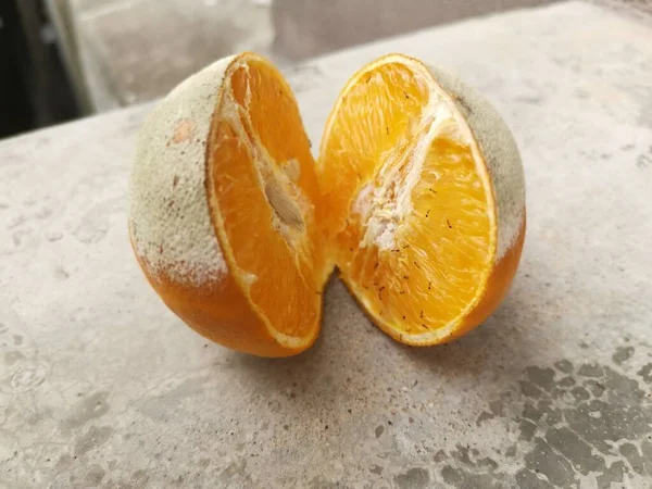 Rot Beschimmeld Oranje Besmet Met Mieren — Stockfoto