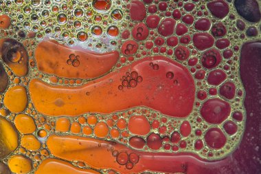 Suyun üzerinde yüzen yağ damlasının renkli sanatçısı