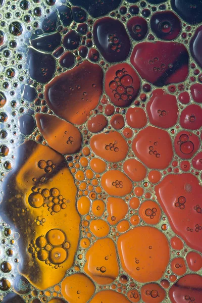 多彩的油滴在水面上飘浮的艺术 — 图库照片