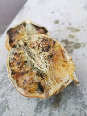 Çürümüş ve küflenmiş portakal haşerelerle dolu.