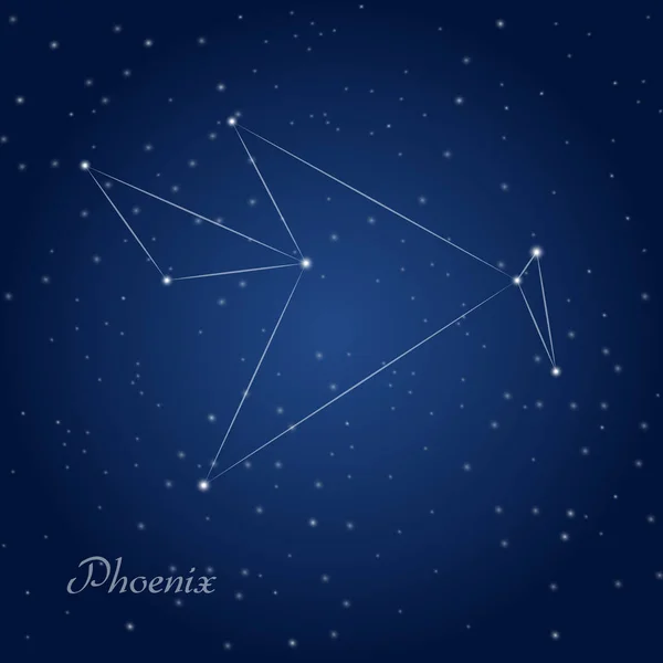 Estrellas de la constelación Phoenix — Vector de stock