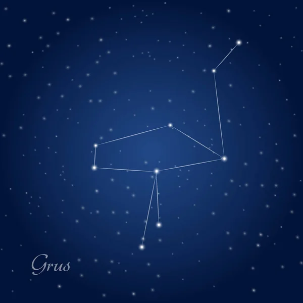 Grus, constellation de grue — Image vectorielle