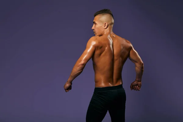 sexy muscular mans back, back view photo. isolated blue background