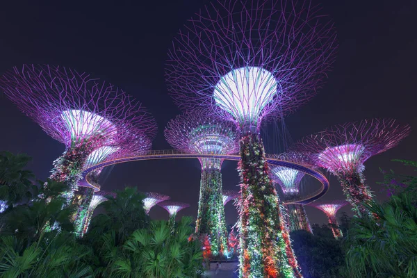 SINGAPUR - 8 de agosto de 2015: Espectáculo de iluminación Gardens by the Bay — Foto de Stock