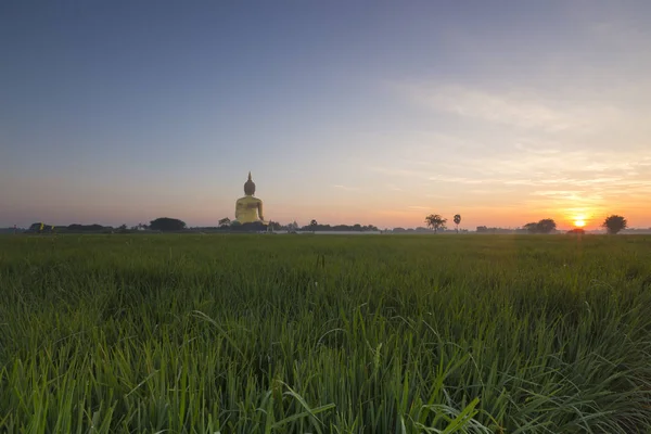 Velký zlatý buddha v muang wat v ang thong, Thajsko — Stock fotografie