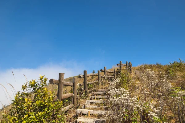 Kew mae pan - chom thong-inthanon rd, die Route der Natur — Stockfoto