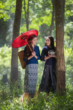 kauçuk ağacı satırda tarım dokunarak kadın