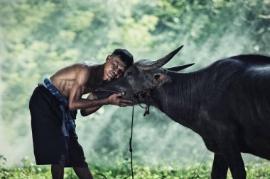 onun buffalo ile Asya çiftçi