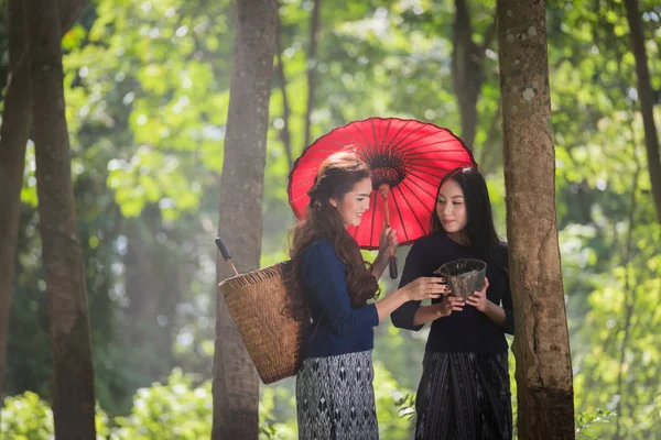 Woman tapping in rubber tree row agricultural — Stock Photo, Image