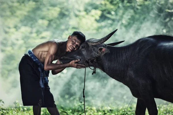 Onun buffalo ile Asya çiftçi — Stok fotoğraf