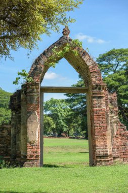 ayutthaya içinde eski kapı alanı ağacında çevresinde