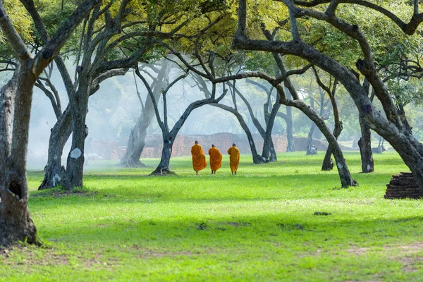Monk ayutthaya, eski duvar ile alan ormanda yürüyüş