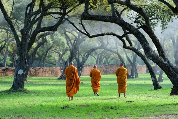 Monje caminando en el bosque de la zona con la vieja pared en ayutthaya —  Fotos de Stock