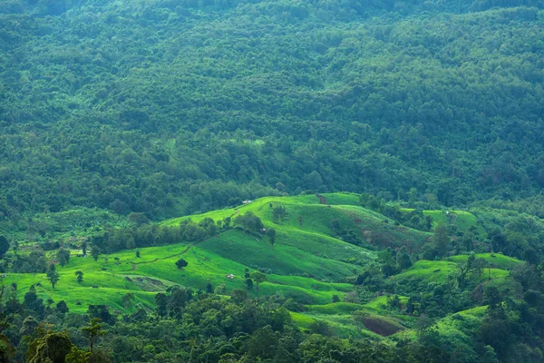 Famosa ubicación de viaje Phu Tub berk provincia de Phetchabun Tailandés — Foto de Stock