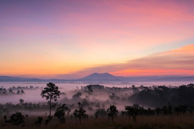 Güzel yeşil parlayan sıcak gündoğumu, dramatik Parlatıcı silhou hills