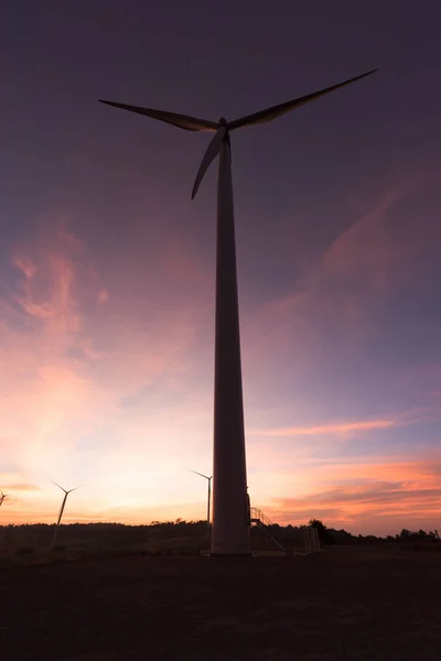 风力发电，风力涡轮机对农田和农业 — 图库照片