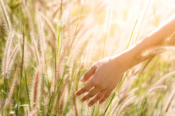 Mano asiático mujeres sintiéndose relajado y feliz tacto hermosa meado — Foto de Stock