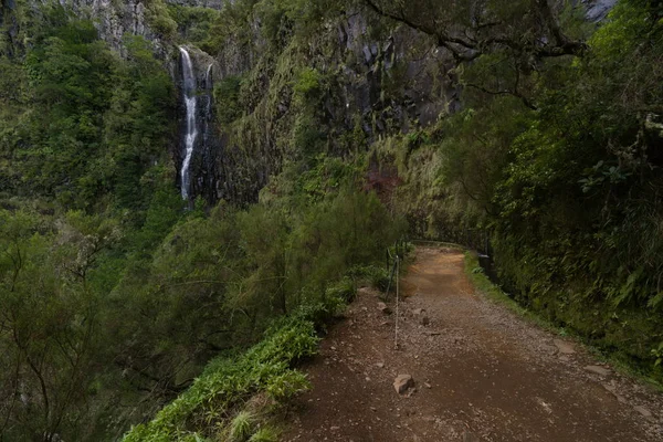 Cachoeira em uma levada trekking na madeira, imagem de fundo — Fotografia de Stock