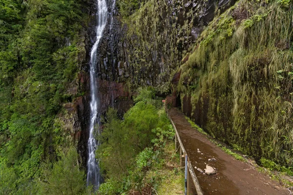 Cascada en una levada trekking en madeira, foto de fondo — Foto de Stock