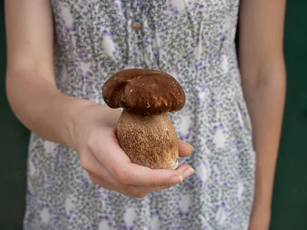 The hand of the girl is holding a mushroom. — Stock Photo, Image