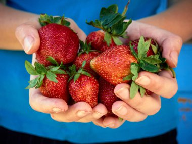 Elleri taze taze çilek tutuyor..