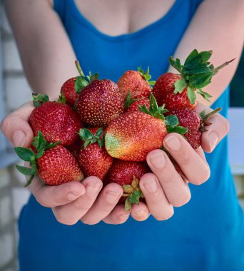 Elleri taze taze çilek tutuyor..