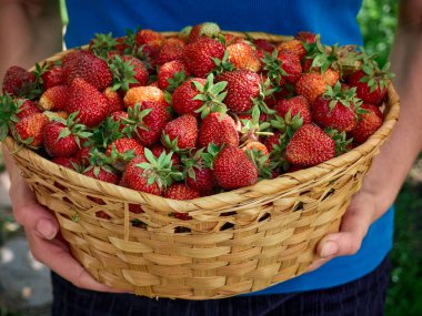 Elleri taze taze çilek tutuyor..