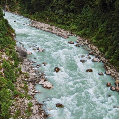 Ormandaki vahşi dağ nehri.