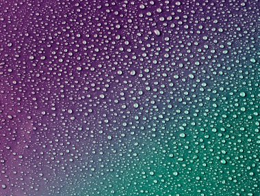 Turkuaz menekşe arkaplanda su damlaları.