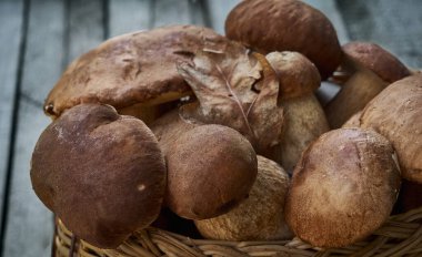 Ahşap arka planda Boletus mantarları.