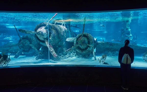 Akvaryumdaki bir kızın silueti..