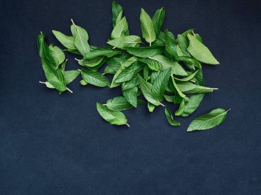 Koyu arkaplanda taze nane yaprakları.