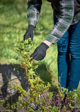 Bahar bahçesinde çalışıyorum..