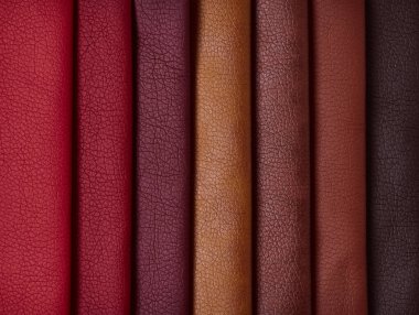 Çeşitli renklerde deri örnekleri.