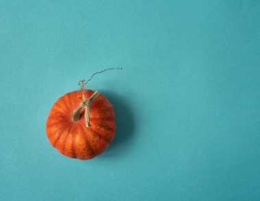 Arka planda turuncu balkabağı.