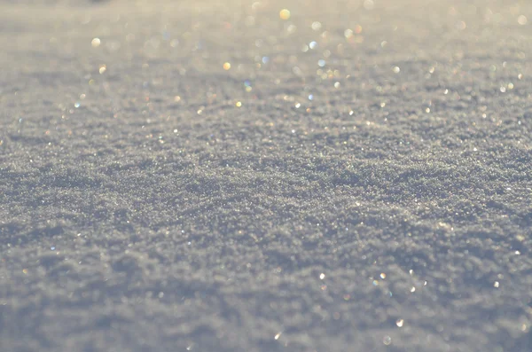 Nieve fresca brillando por la mañana —  Fotos de Stock