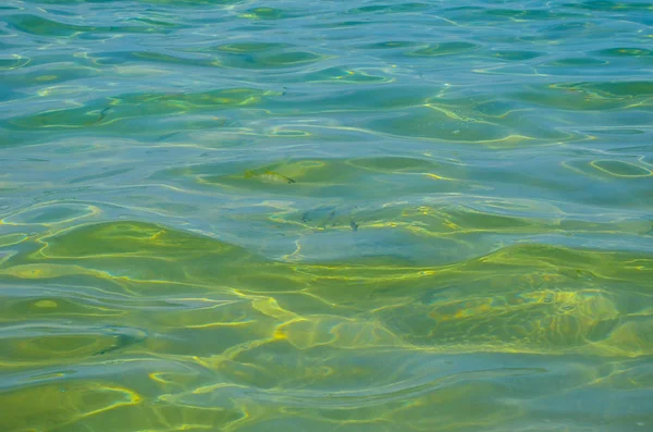 Bright surface of warm sea — Stock Photo, Image