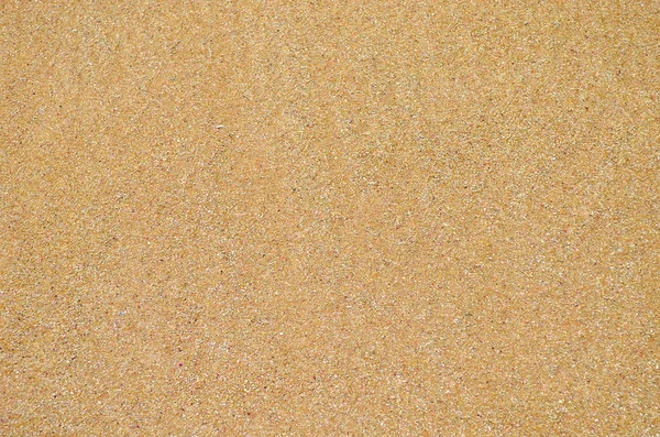 Sabbia dorata della costa dello Sri Lanka — Foto Stock