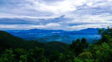 Parlak mavi dağlar ve tropikal yağmur ormanda