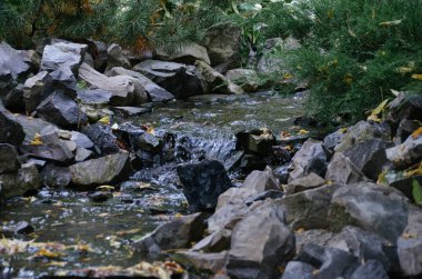 Manzara fotoğraf, sonbahar ormandaki güzel basamaklı şelale