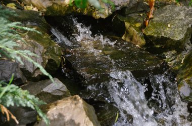 Sonbahar Orman kayalarda arasında parlak basamaklı şelale