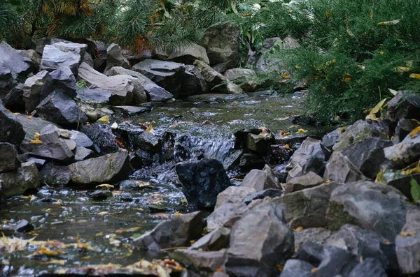 Manzara fotoğraf, sonbahar ormandaki güzel basamaklı şelale
