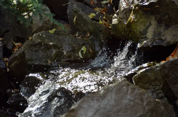 Sonbahar ormandaki sıçramasına şelale